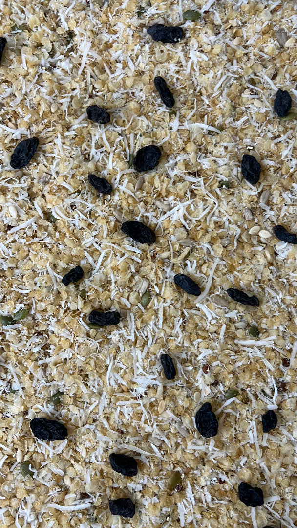 Millet Muesli – No Added Sugar - Diabetic & PCOS Friendly - Jowar Muesli